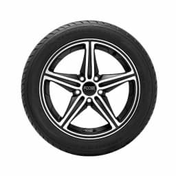 205/45R17.0 560W G-MAX AS-03 - Vista 2